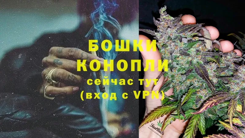 Бошки марихуана White Widow  цены наркотик  Краснознаменск 